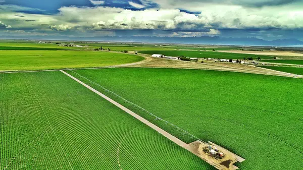 Aerial view of Blue Barn Farm fields during harvest season